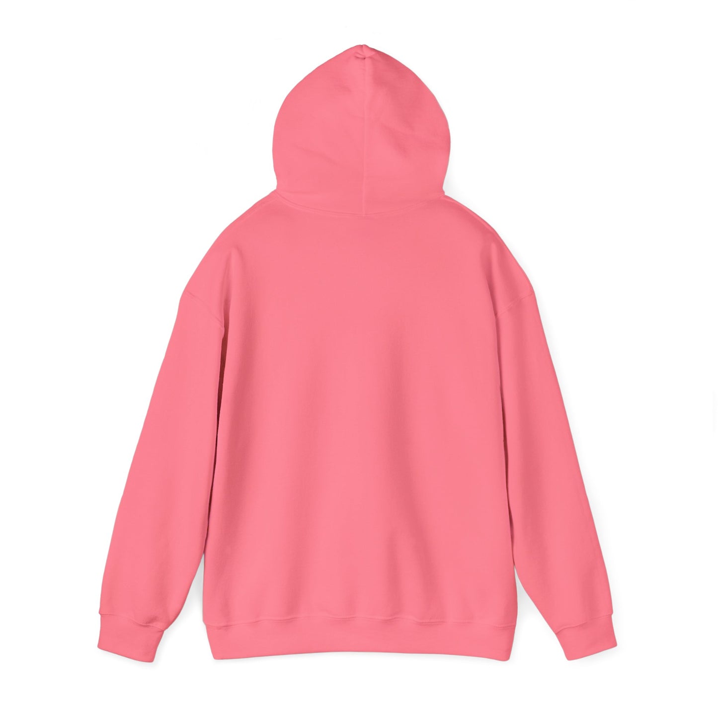 Absolutely Not. Hooded Sweatshirt - Cozy Casual Wear for Everyday Attitude